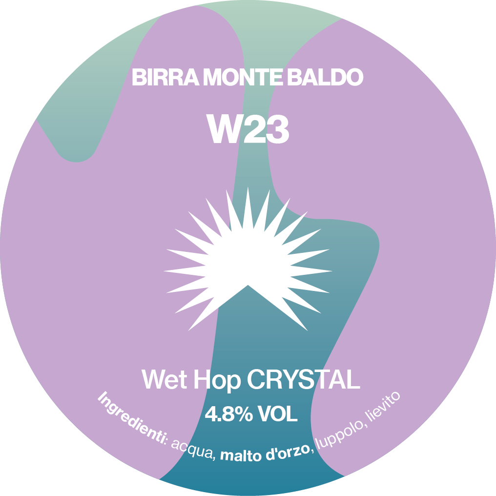 W23 - Wet Hop Crystal  - Pack 6 lattine